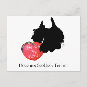 Cartes Pour Fêtes Annuelles Saint-Valentin Terrier Écossais