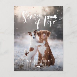 Cartes Pour Fêtes Annuelles Saison de Noël élégant d'animaux familiers de