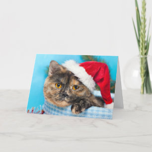 Cartes Pour Fêtes Annuelles Saison des vacances de Ronronnement-fect de chat
