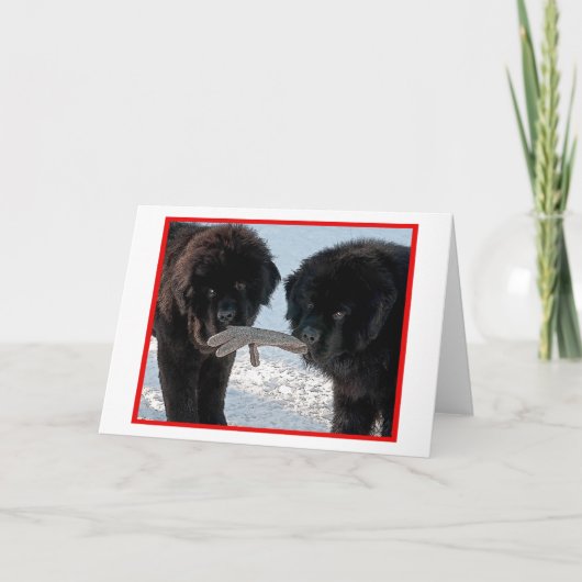 Cartes Pour Fêtes Annuelles Saison meilleure….Blanc (Devant)