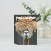 Cartes Pour Fêtes Annuelles Salon Personnalisé Funny Llama (Debout devant)