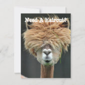 Cartes Pour Fêtes Annuelles Salon Personnalisé Funny Llama (Devant)