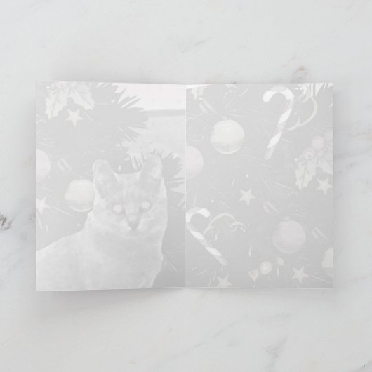 Cartes Pour Fêtes Annuelles Salutation Chartreux (Intérieur)