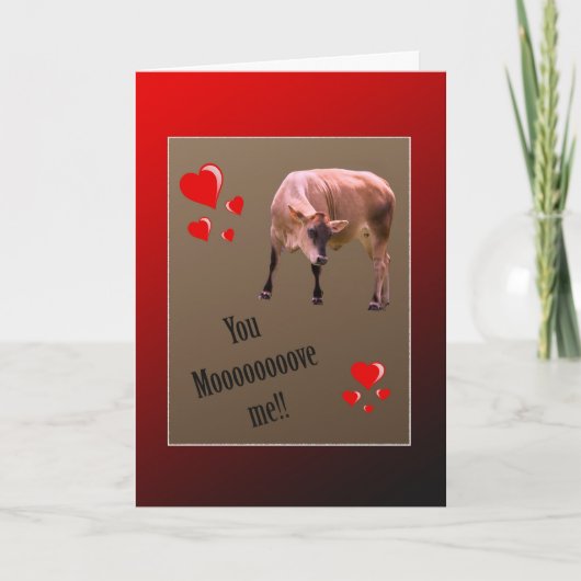 Cartes Pour Fêtes Annuelles Salutation de la Vache Valentine (Devant)