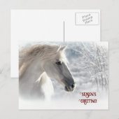 Cartes Pour Fêtes Annuelles Salutation de saison Cheval blanc et neige (Devant / Derrière)