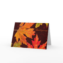 Salutation de thanksgiving de la générosité de