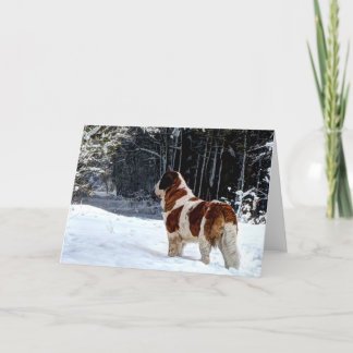 Cartes Pour Fêtes Annuelles Salutation photographique de Noël de neige de St