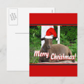 CARTES POUR FÊTES ANNUELLES SALUTATIONS DE CHÈVRE DE JOYEUX NOËL (Devant / Derrière)