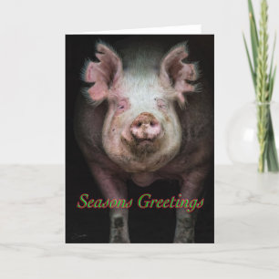 Cartes Pour Fêtes Annuelles Salutations de cochon
