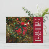 Cartes Pour Fêtes Annuelles Salutations de Noël (Debout devant)