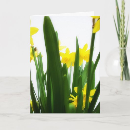 Cartes Pour Fêtes Annuelles Salutations de Pâques (Devant)