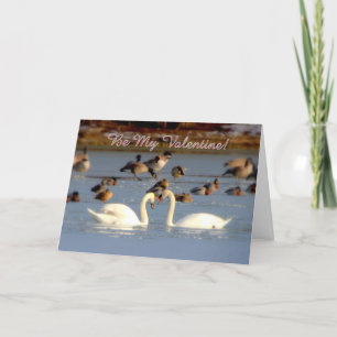 Cartes Pour Fêtes Annuelles Salutations de Saint-Valentin