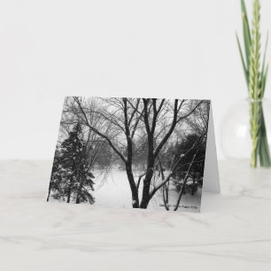 Cartes Pour Fêtes Annuelles Salutations de solstice d'hiver, arbres de Milou