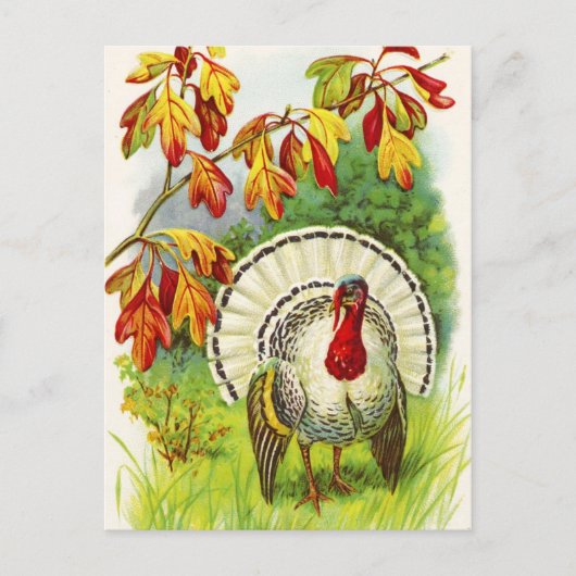 Cartes Pour Fêtes Annuelles Salutations de Thanksgiving (Devant)