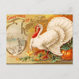 Cartes Pour Fêtes Annuelles Salutations de Thanksgiving White Turkey Vintage