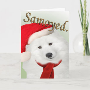 Cartes Pour Fêtes Annuelles Samoyed Christmas Portrait Card