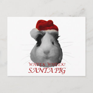 Cartes Pour Fêtes Annuelles Santa Claus Cochon Guinée Cochon Noël