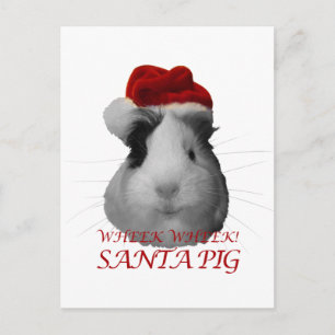 Cartes Pour Fêtes Annuelles Santa Claus Cochon Guinée Cochon Noël