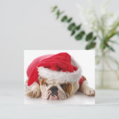 Cartes Pour Fêtes Annuelles Santa Dog (Debout devant)