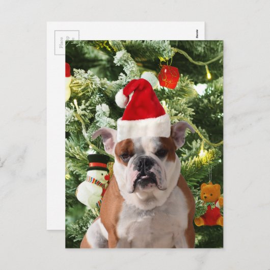 Cartes Pour Fêtes Annuelles Santa Hat Bulldog Christmas Tree Snowman boîte cad (Devant / Derrière)