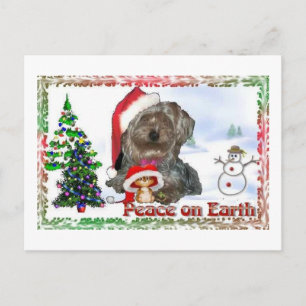 Cartes Pour Fêtes Annuelles Sasha Sydney Silky Dog Mouse Holiday