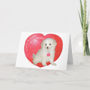 Cartes Pour Fêtes Annuelles Sauvetage de Saint-Valentin de Petit Chien Blanc