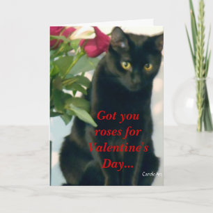 Cartes Pour Fêtes Annuelles Savoureux Rose Kitty Valentine