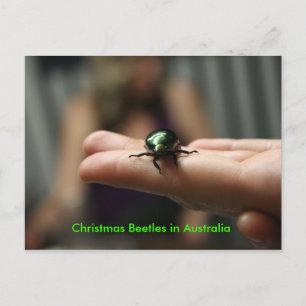 Cartes Pour Fêtes Annuelles Scarabée de Noël