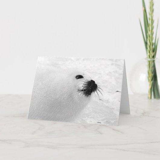 Cartes Pour Fêtes Annuelles Sceau blanc (Devant)