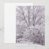 Cartes Pour Fêtes Annuelles Scène d'hiver vide (Devant / Derrière)