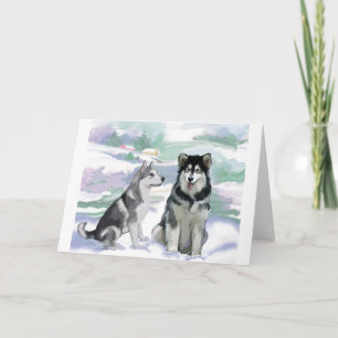 Cartes Pour Fêtes Annuelles Scène hivernale de Malamute en Alaska
