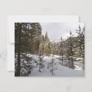 Cartes Pour Fêtes Annuelles Scene hivernale de montagne neige au Montana