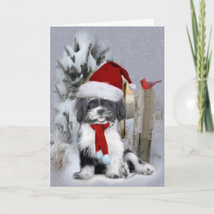 Cartes Pour Fêtes Annuelles Scène hivernale de Shih Tzu