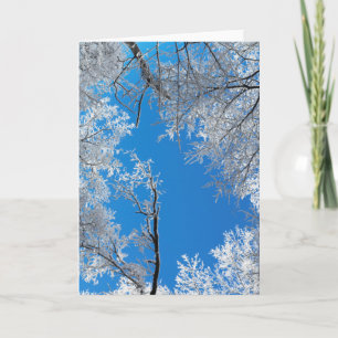 Cartes Pour Fêtes Annuelles Scène hivernale neigeuse