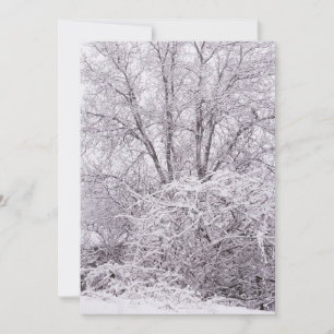 Cartes Pour Fêtes Annuelles Scène hivernale vierge