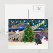 Cartes Pour Fêtes Annuelles Schipperke magique de Xmas (Devant / Derrière)