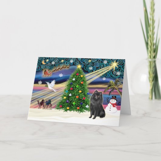 Cartes Pour Fêtes Annuelles Schipperke magique de Xmas (Devant)