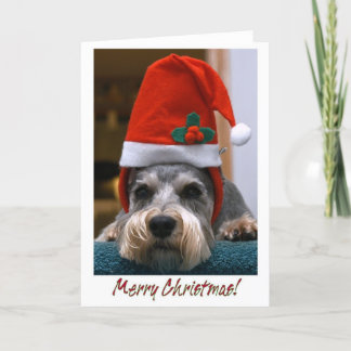 Cartes Pour Fêtes Annuelles Schnauzer de Joyeux Noël