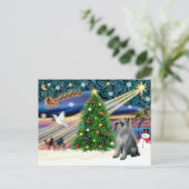 Cartes Pour Fêtes Annuelles Schnauzer géant Christmas Magic (P-S géant) (Debout devant)