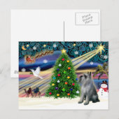 Cartes Pour Fêtes Annuelles Schnauzer géant Christmas Magic (P-S géant) (Devant / Derrière)