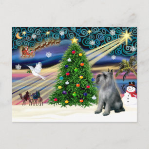 Cartes Pour Fêtes Annuelles Schnauzer magique de Noël (géant P-S)