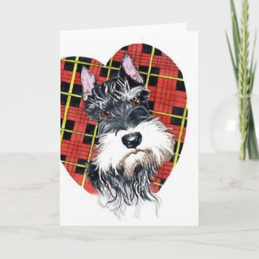 Cartes Pour Fêtes Annuelles Schnauzer Valentine (Devant)