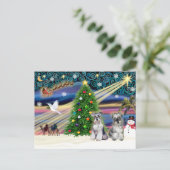 Cartes Pour Fêtes Annuelles Schnauzers de Noël (deux) (Debout devant)