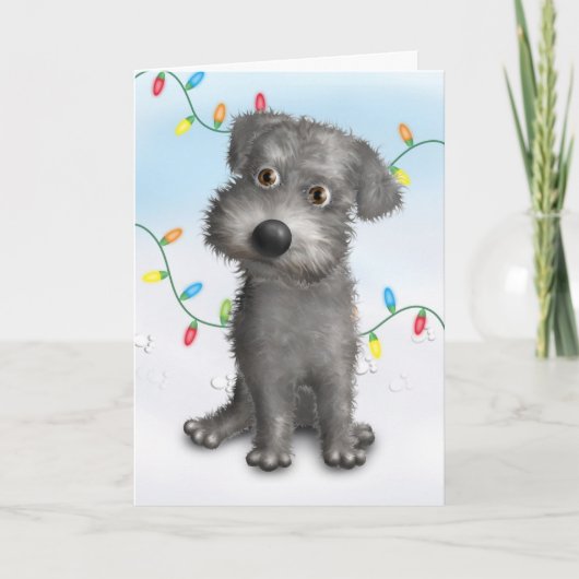 Cartes Pour Fêtes Annuelles Schnoodle (Gray) Christmas (Devant)