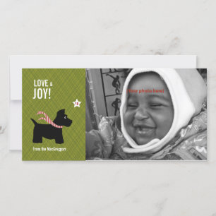 Cartes Pour Fêtes Annuelles Scottie Christmas Photo Card