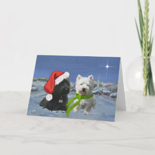 Cartes Pour Fêtes Annuelles Scottie et Westie Étoile de Noël