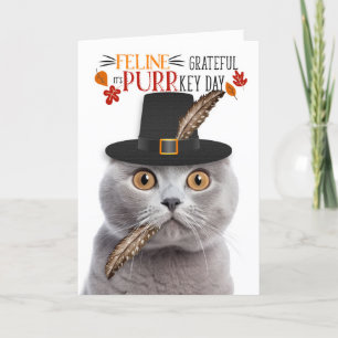 Cartes Pour Fêtes Annuelles Scottish Fold Grey Cat Grateful pour PURRkey Day