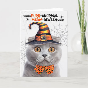 Cartes Pour Fêtes Annuelles Scottish Fold Grey Cat PURRanormal MEOWolween