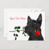 Cartes Pour Fêtes Annuelles Scottish Terrier Puppy Red Rose Valentine Design (Devant / Derrière)