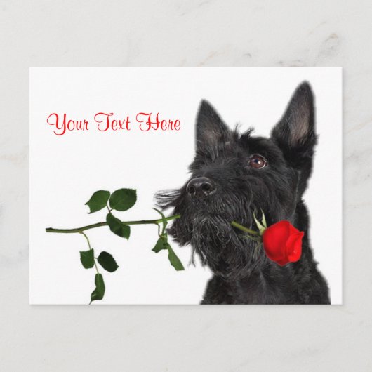 Cartes Pour Fêtes Annuelles Scottish Terrier Puppy Red Rose Valentine Design (Devant)